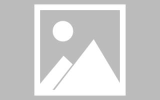 磁县网页设计英文默认字体（网页设置英文转换中文）